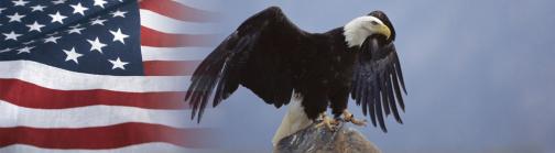 Eagle
