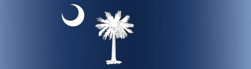 Palmetto